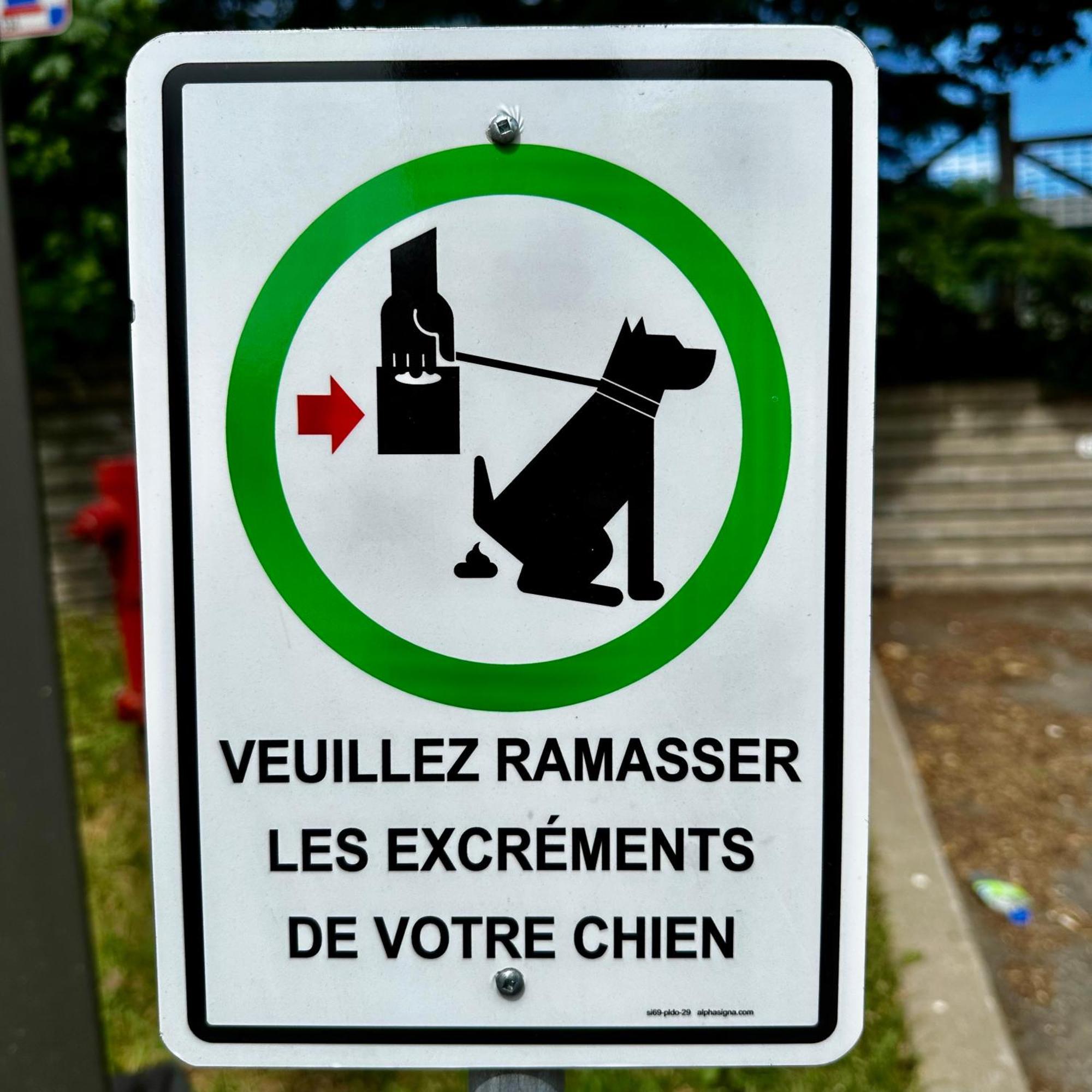 Initial - Moose - Chutes-Montmorency Boischatel Luaran gambar