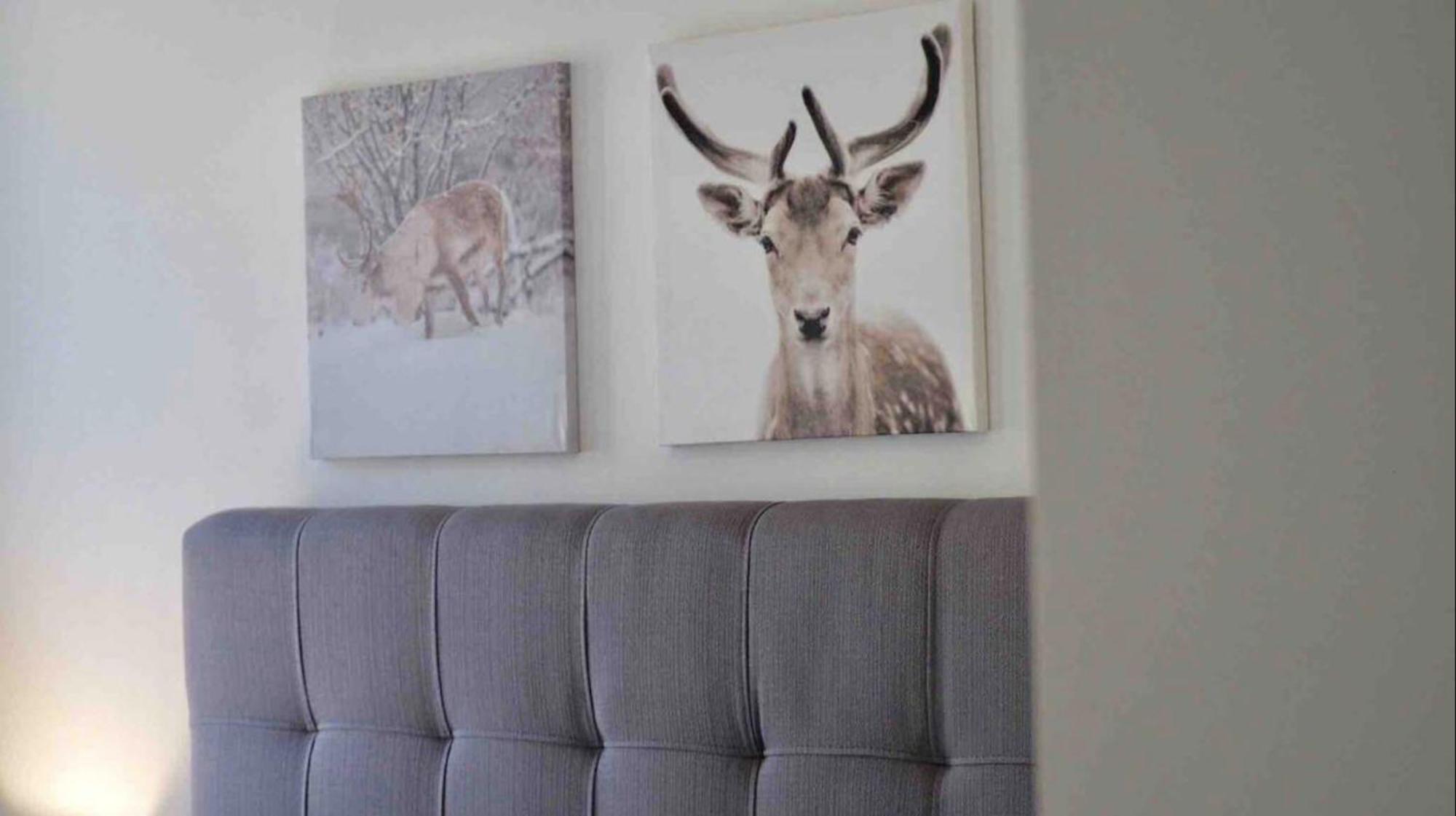 Initial - Moose - Chutes-Montmorency Boischatel Luaran gambar